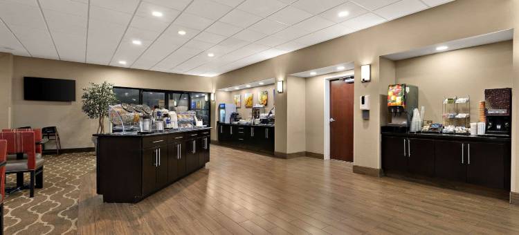 纳什维尔舒适套房酒店(Comfort Suites)图片