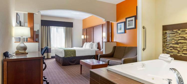 舒适套房酒店-史蒂文斯维尔圣约瑟夫(Comfort Suites Stevensville - St Joseph)图片