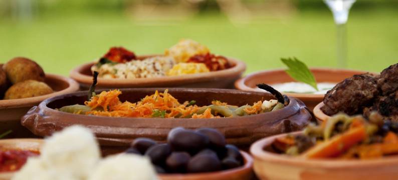 格拉查尼察酒店(Hotel Gracanica)图片