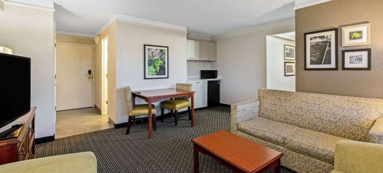 新奥尔良机场拉昆塔温德姆套房酒店(La Quinta Inn & Suites by Wyndham New Orleans Airport)图片