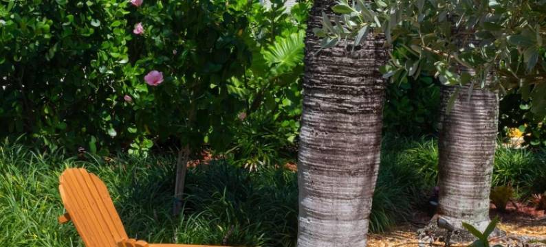 大西洋宾馆(Atlantic Hideaway)图片