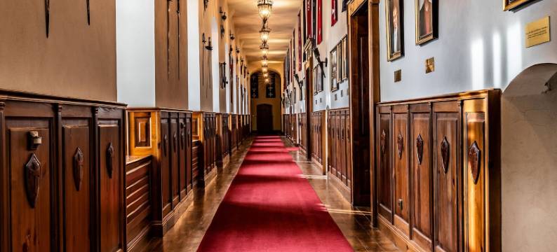 维格拉斯大酒店(Hotel Grand Vígľaš)图片