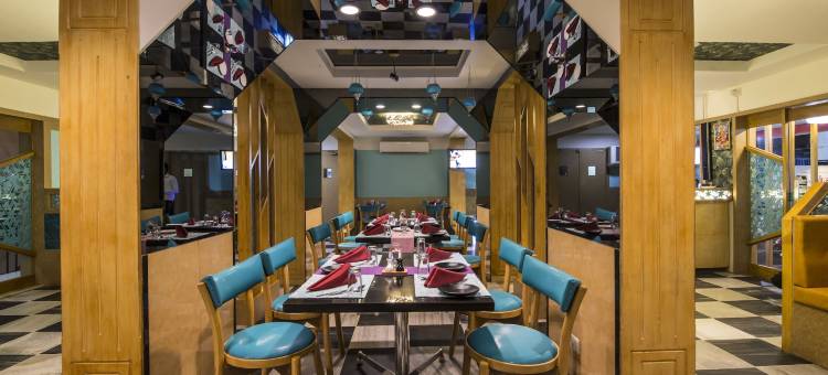 阿雅斯酒店(Hotel Aryaas)图片