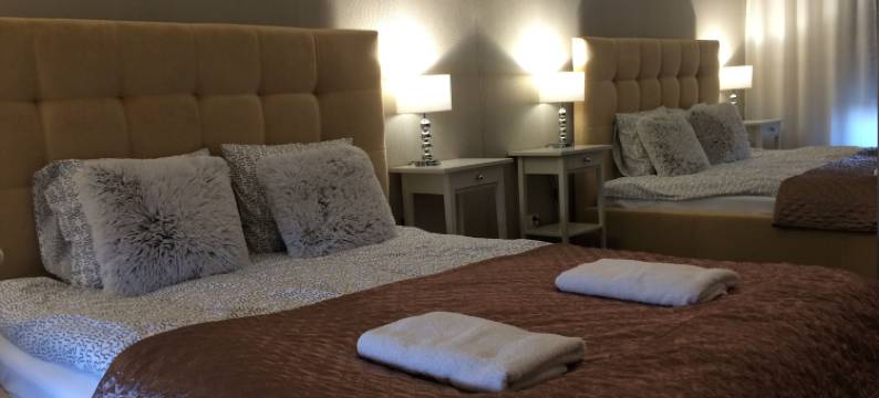 托伦华丽酒店(Toruń DeLuxe)图片