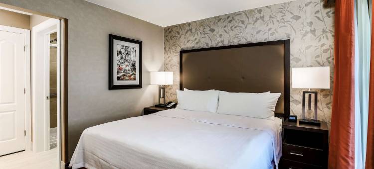 Homewood Suites by Hilton-纽约酒店(Homewood Suites by Hilton Long Island-Melville)图片