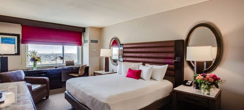 奥弗顿酒店加会议中心(Overton Hotel and Conference Center)图片