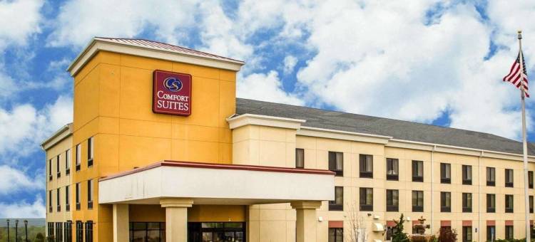 舒适套房酒店(Comfort Suites Edinboro)图片