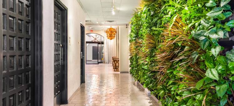 里弗沃克广场酒店(Riverwalk Plaza)图片