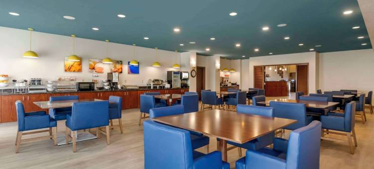 拉皮德城舒适套房酒店及会议中心(Comfort Suites Conference Center Rapid City)图片