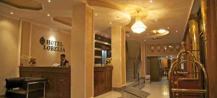 半边莲酒店(Hotel Lobelia)图片
