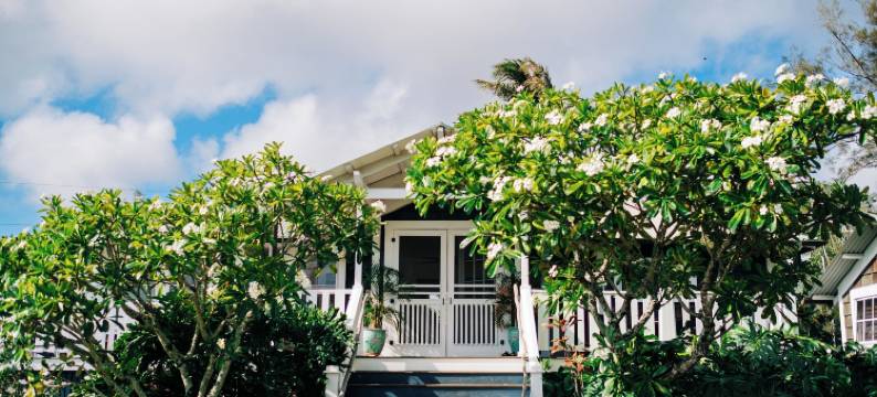 普奥凯亚牧场(Puakea Ranch)图片