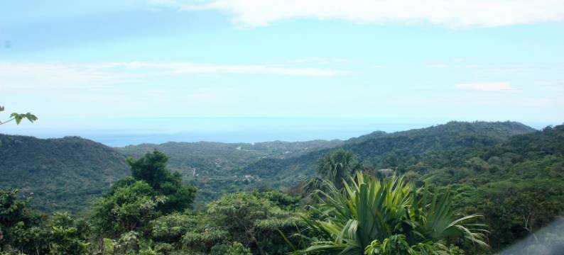 Taorayiná 自然保护区(Taorayiná nature reserve)图片