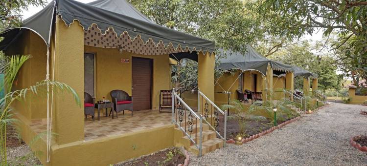 GIR狮子野生动物园营地(Gir Lion Safari Camp)图片