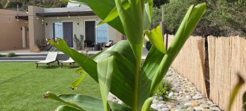 JM Dēos 套房(JM Dēos Suites)图片