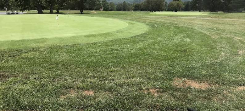 歇瓦勒高尔夫度假村(Shenvalee Golf Resort)图片