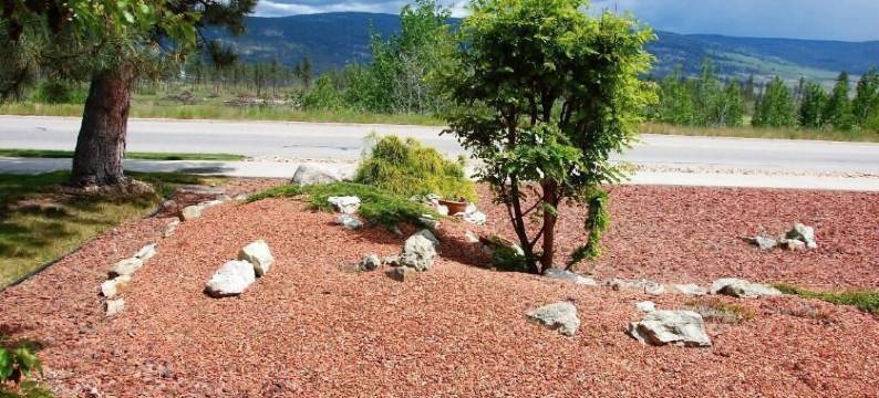 鹌鹑岭度假天堂民宿(A Vacation Paradise at Quail Ridge B&B)图片