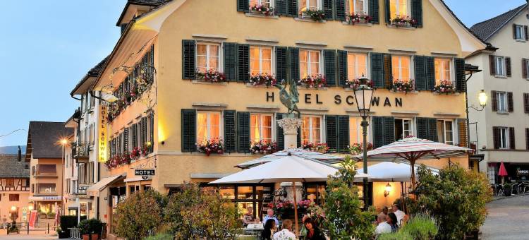 施万浪漫酒店(Romantik Hotel Schwan)图片