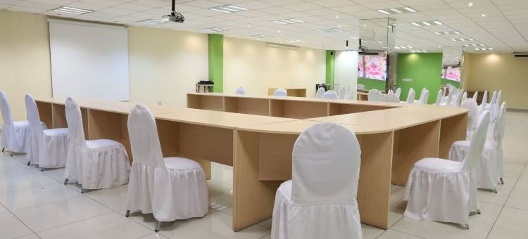 梅德拉诺酒店(Hotel Medrano Temáticas and Business Rooms Aguascalientes)图片