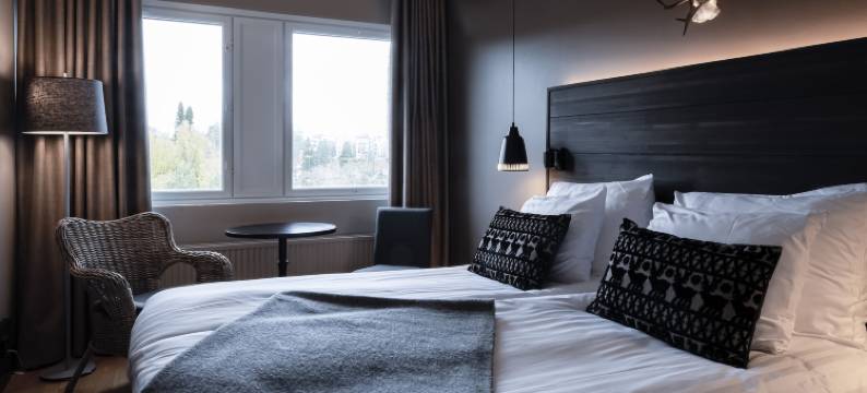 库奥皮欧拉普兰酒店(Lapland Hotels Kuopio)图片