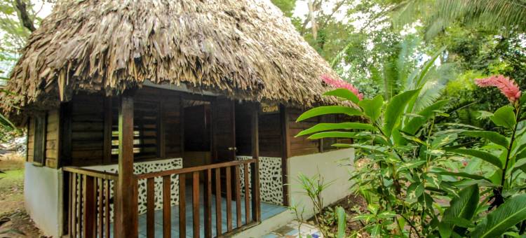 羽叶棕榈河畔小屋酒店(Cohune Palms River Cabanas)图片