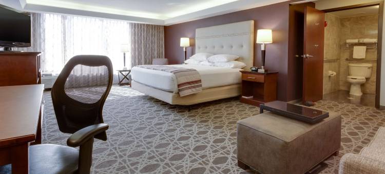 奥佛兰公园德鲁里套房酒店(Drury Inn & Suites Overland Park)图片