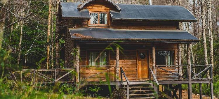 回罗回罗山林小屋(Huilo Huilo Cabañas del Bosque)图片