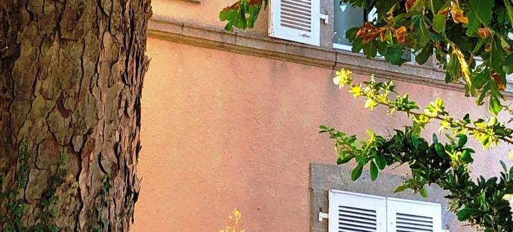 瓦莱1900(VALLÉE 1900)图片