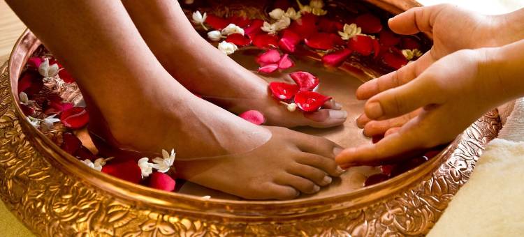 Ama Stays & Trails Lily Pad, Kumarakom图片