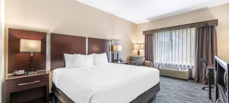 东门贝斯特韦斯特优质套房酒店(Best Western Plus Eastgate Inn  Suites)图片