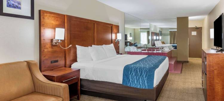 埃斯孔迪多-圣地亚哥北县舒适酒店(Comfort Inn Escondido San Diego North County)图片