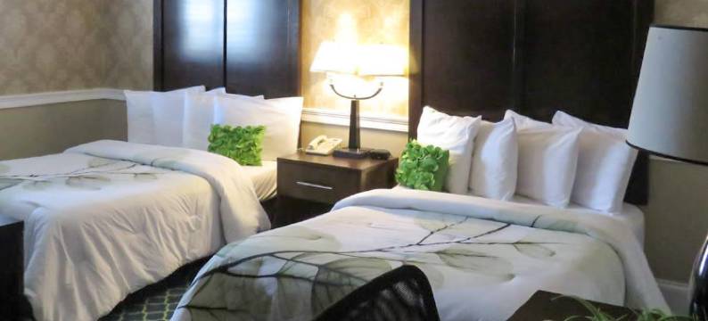 波士顿洛根机场罗德威旅馆(Rodeway Inn Logan International Airport)图片