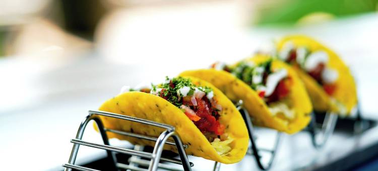 维贾布尔城市宫殿酒店(Hotel Town Palace)图片