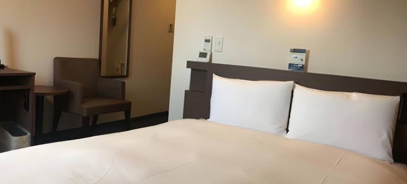 水户微笑酒店(Smile Hotel Mito)图片