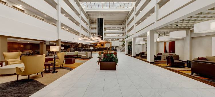 布鲁克菲尔德密尔沃基希尔顿安泊酒店(Embassy Suites by Hilton Milwaukee Brookfield)图片