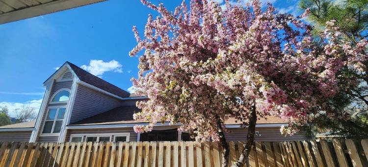 杜兰戈市中心度假屋(In the heart of Durango)图片