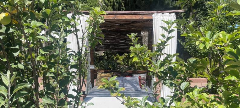 埃尔雷富吉乡村酒店(Hotel Rural El Refugio)图片