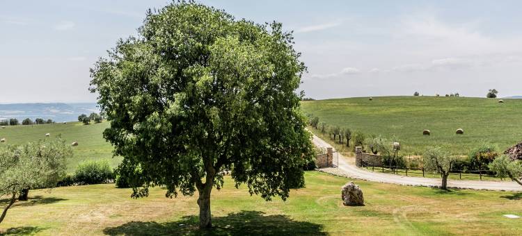 Farmhouse in Montoro near Montoro Castle图片