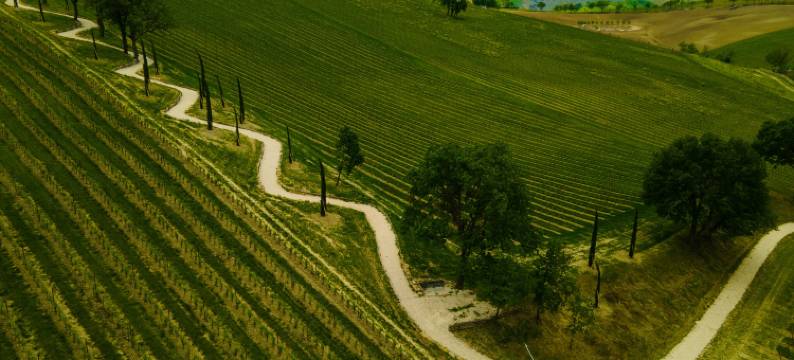 Belvilla by OYO Tamburina图片