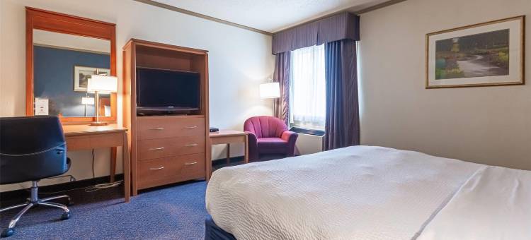 德雷顿谷温德姆戴斯酒店(Days Inn by Wyndham Drayton Valley)图片