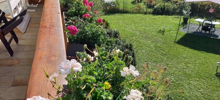 阿列古斯塔(Alie Gusta)图片