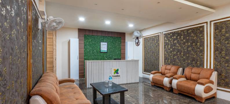 Treebo 绿橄榄(Treebo Green Olive)图片