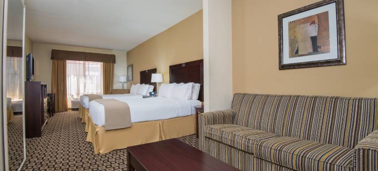 智选假日套房酒店克洛维斯(Holiday Inn Express & Suites Clovis)图片