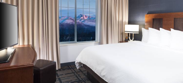 安克雷奇大使套房酒店(Embassy Suites by Hilton Anchorage)图片