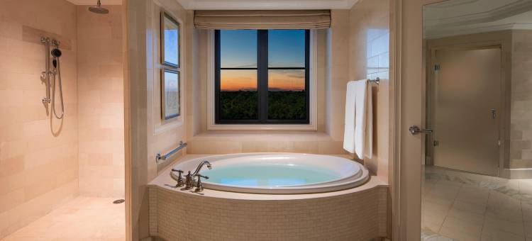 亚特兰大瑞吉酒店(The St. Regis Atlanta)图片