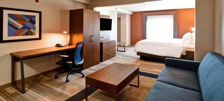 谢勒维尔智选假日酒店(Holiday Inn Express & Suites SCHERERVILLE by IHG)图片