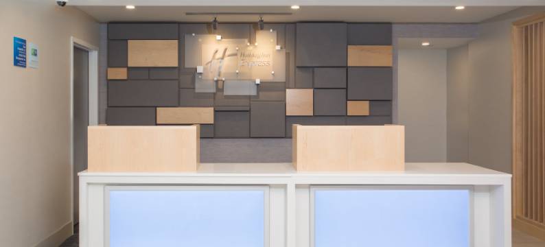 切姆斯福德智选假日酒店(Holiday Inn Express CHELMSFORD by IHG)图片