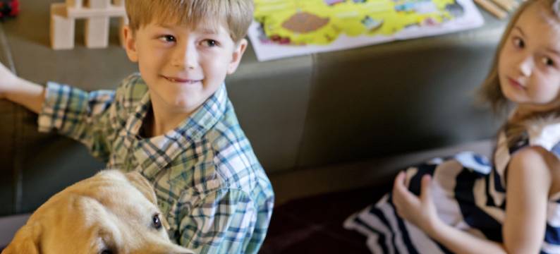 诺富特 BH 萨瓦西酒店(Novotel BH Savassi)图片