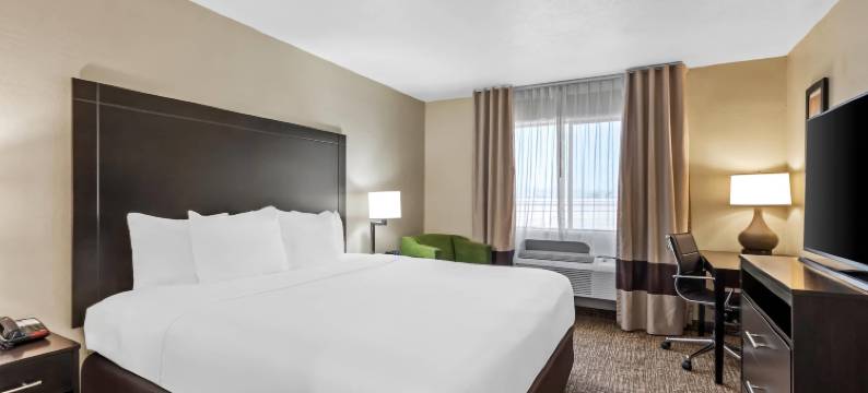 惊喜品质酒店及套房-近太阳城西(Comfort Inn & Suites Surprise Near Sun City West)图片