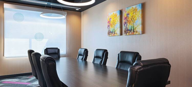 欧文DFW南部希尔顿Tru酒店(Tru by Hilton Irving DFW South)图片