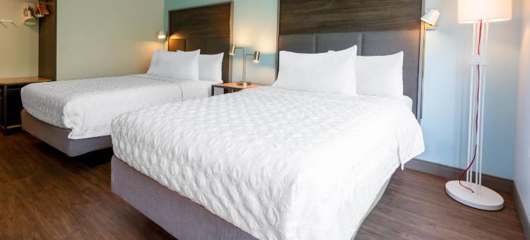 Tru By Hilton 科默斯(Tru by Hilton Commerce)图片